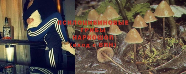 таблы Дмитровск